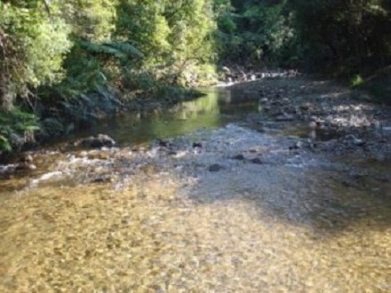 Stream crossing